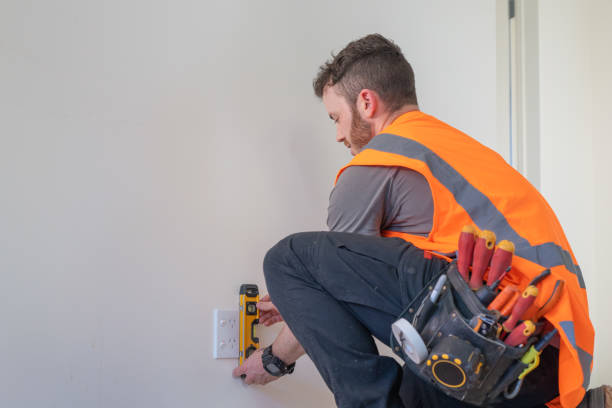 Best Affordable Electrician  in Lyons, IL