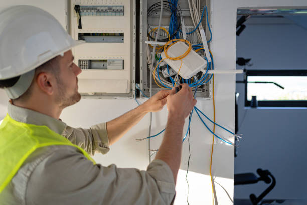 Best Electric Panel Repair  in Lyons, IL