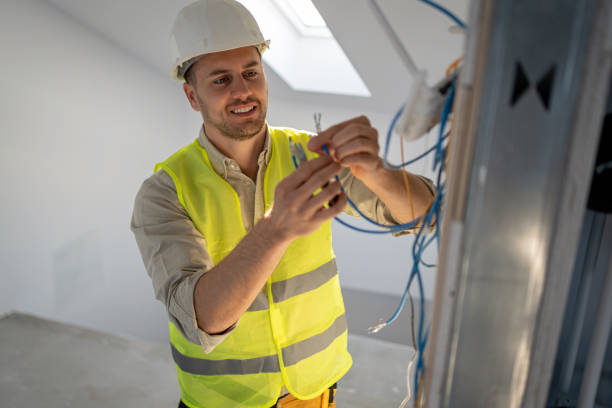 Best Electric Panel Repair  in Lyons, IL